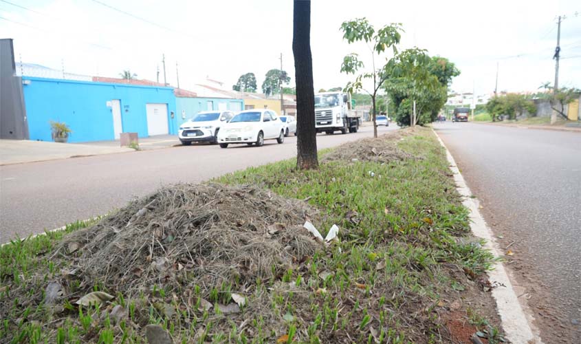 Pintura de meio-fio avança e reforça segurança no trânsito