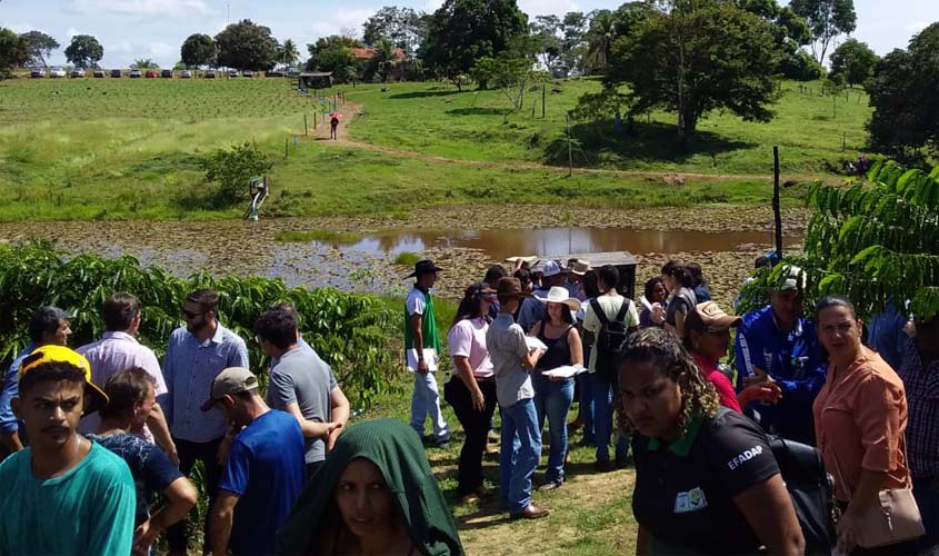 Emater Rondônia leva assistência técnica em café clonal para produtores rurais