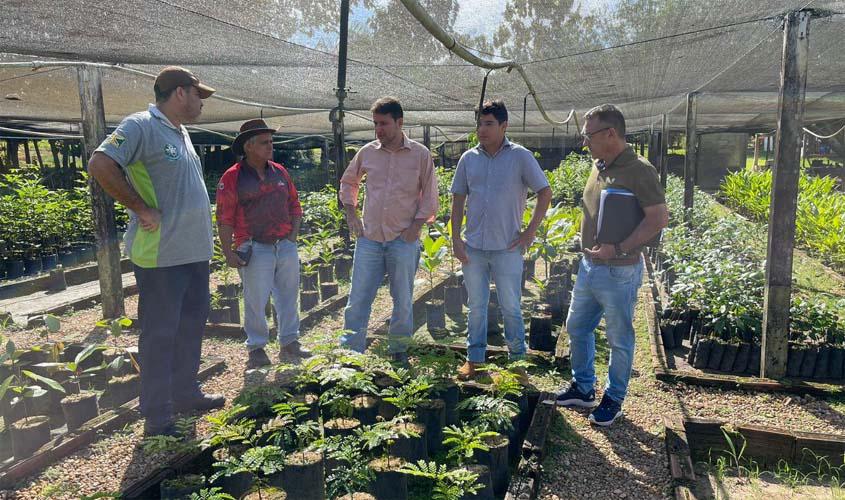 TJRO vence pela segunda vez o Prêmio Juízo Verde, do Conselho Nacional de Justiça