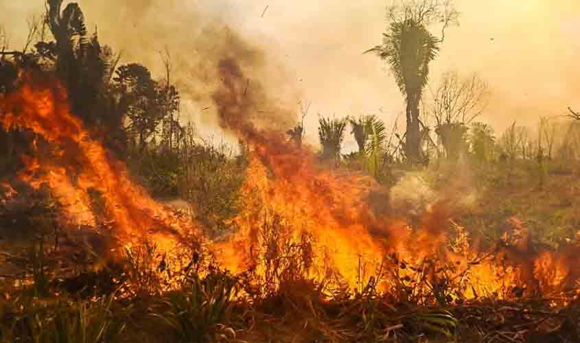 No Cone Sul e Vale do Guaporé, Promotorias cobram fiscalização e responsabilização por queimadas