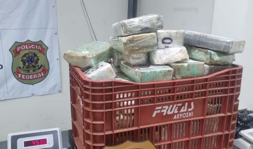 Polícia Federal prende casal que enviou 45,20 kg de cocaína por meio de veículo transportado por caminhão 'cegonheira'