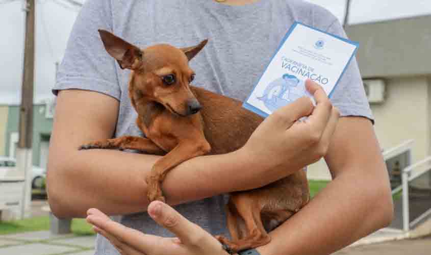 Dia D de Vacinação antirrábica para cães e gatos acontece em 100 pontos de Porto Velho