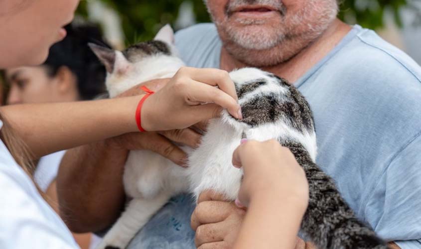 Setembro Caramelo vacina mais de 30 mil animais