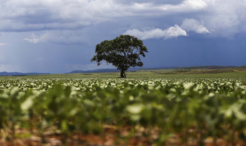 Mudanças climáticas podem afetar agronegócio a longo prazo