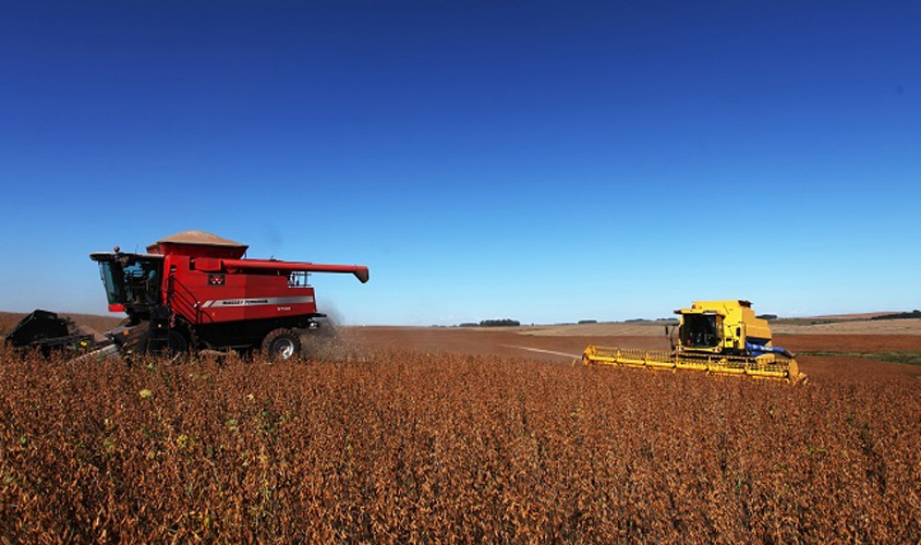 Empréstimos agrícolas de grandes e médios produtores crescem 14% na atual safra