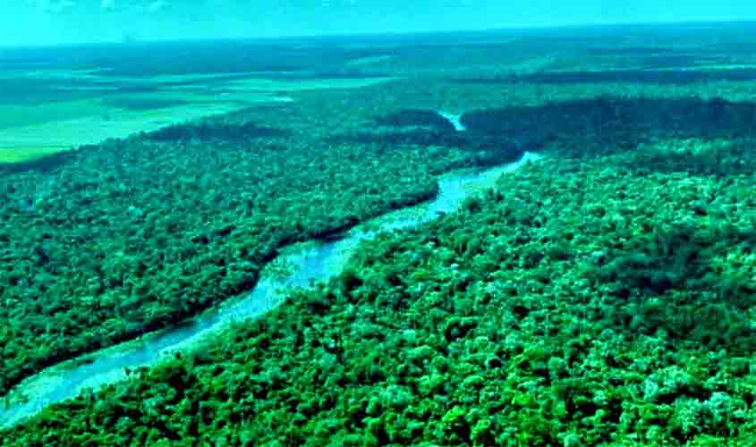 Rondônia foi o terceiro estado que mais reduziu vegetação nativa em 18 anos