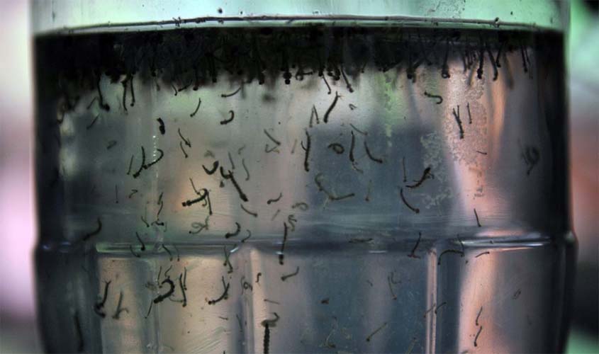 Com alta de casos, governo cria centro para monitorar dengue