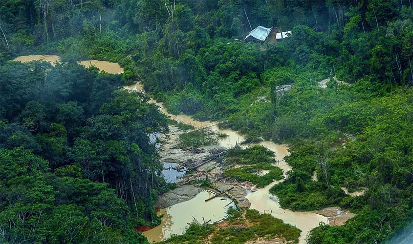 Greenpeace informa registro de 176 escavadeiras em terras Yanomami