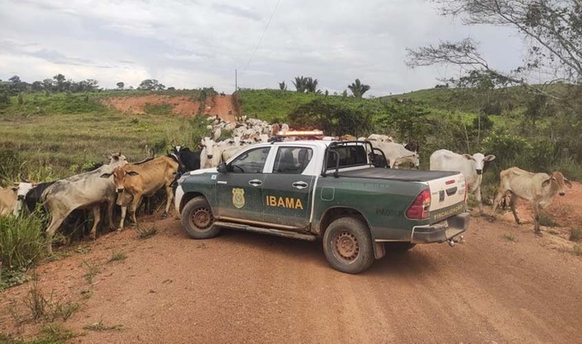 Bancada Federal de Rondônia cobra Ministério do Meio Ambiente  sobre embargo de áreas