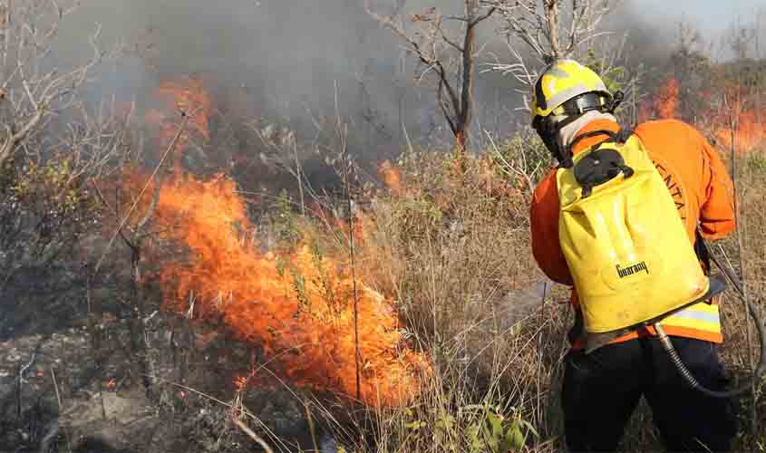 Brasil registra 184 mil focos; estados atuam no combate aos incêndios