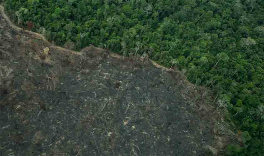 Terra Indígena Karipuna de Rondônia tem cenário de incêndio e seca