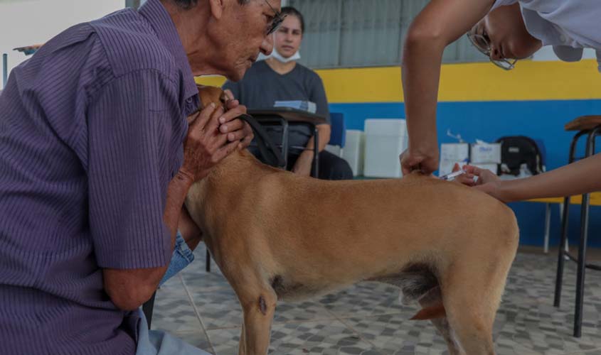 Tutores levam pets ao Dia D da Vacinação Antirrábica em Porto Velho