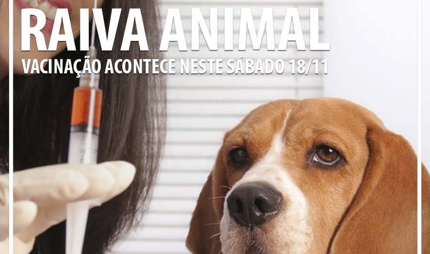 A meta da secretaria municipal de saúde é imunizar 80% dos animais. O que equivale a 43 mil cães e 7 mil gatos