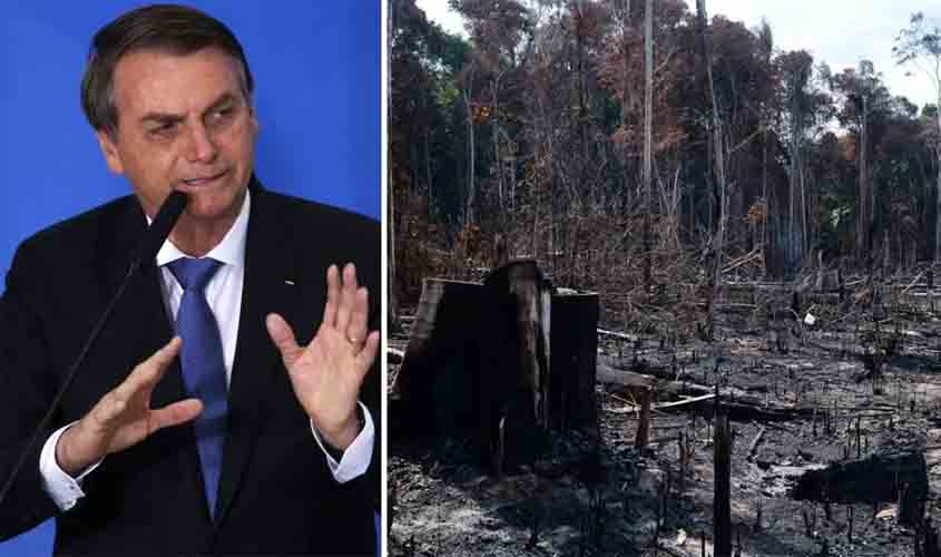 Em vez de combater desmatamento, Bolsonaro diz que divulgará lista de países que importam madeira ilegal