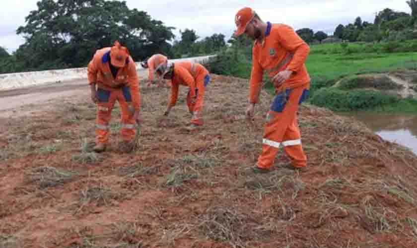 Capim Quicuio é plantado nos aterros em rodovias da região entre Ouro Preto do Oeste e Vale do Paraíso para conter erosão