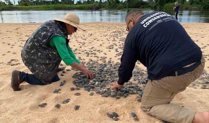 Ação realizada pelo governo de RO promove soltura de mais de 177 mil filhotes de tartarugas, no Parque Estadual