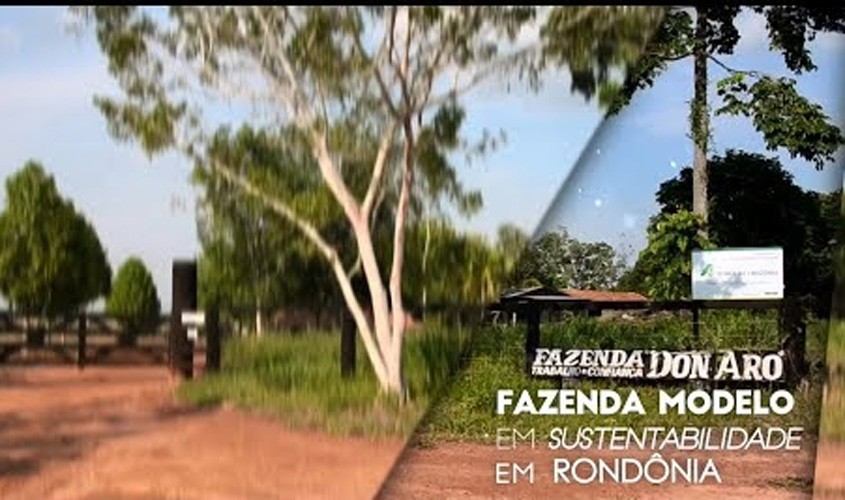 Fazenda modelo em sustentabilidade em Rondônia