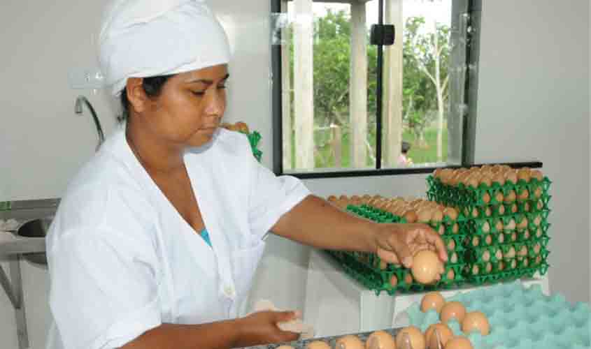 Emater incentiva produtores com ações para atividades de avicultura; Ater promove inclusão à família rural