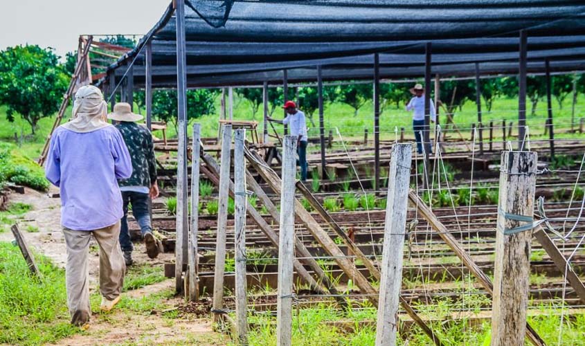 Atividades voltadas aos reeducandos do sistema prisional de Rondônia resultam na aprovação no Enem e inserção no mercado de trabalho