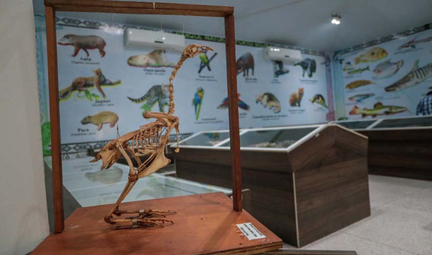 Museu do Acervo Biológico de Porto Velho é reaberto 