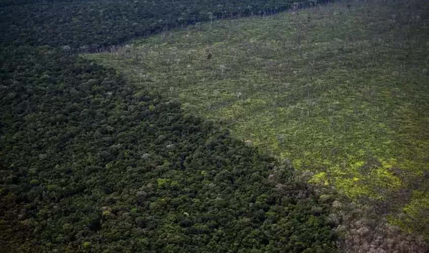 RAD 2021 - Relatório anual do desmatamento no Brasil