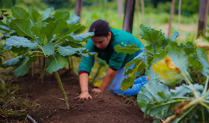 Cláudia de Jesus destaca compromisso do governo federal com o setor agropecuário ao anunciar Plano Safra