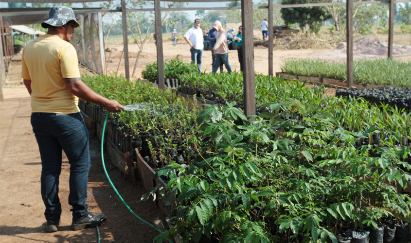 Fazenda Futuro, em Porto Velho, recebe investimentos para criação de tambaqui e pirarucu em tanques