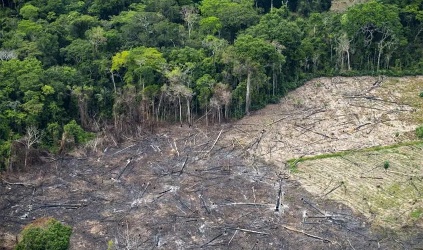 Ministério Público cria Força-Tarefa para intensificar a prevenção e combate aos desmatamentos e queimadas em Rondônia