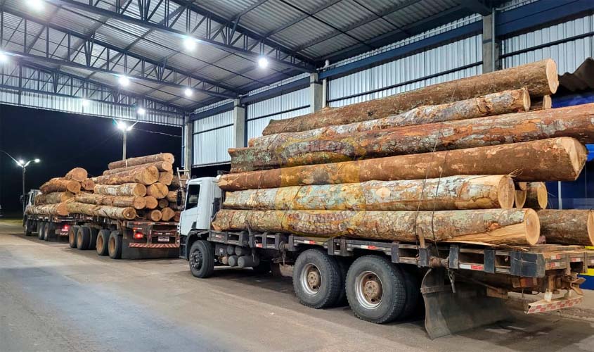 Em Ariquemes/RO, PRF identifica transportes irregulares de madeira