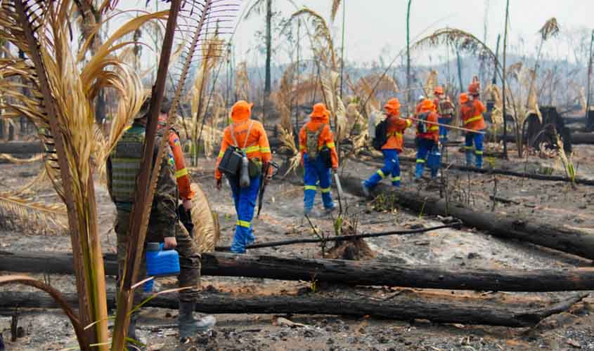 Rondônia alcança redução histórica nas queimadas e lidera ranking nacional