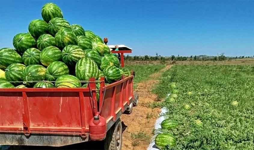 Transporte da Produção Rural facilita escoamento e garante economia para agricultores de Rio Pardo