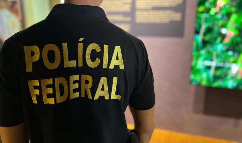PF investiga desmatamento ilegal em floresta nativa