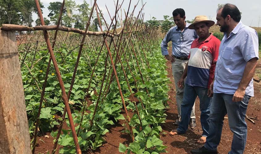 Laerte Gomes faz gestão em prol de horticultores da região de Ji-Paraná