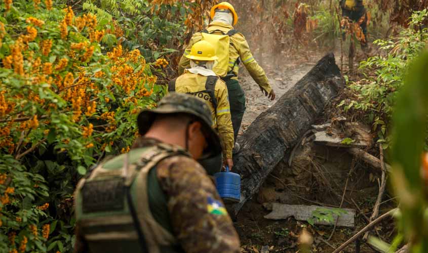 Fiscalização e responsabilização por crimes ambientais são intensificadas em Rondônia