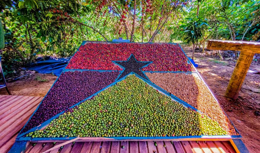 Rondônia certifica agropecuária atestando qualidade sanitária e é destaque no Brasil no controle de pragas e doenças