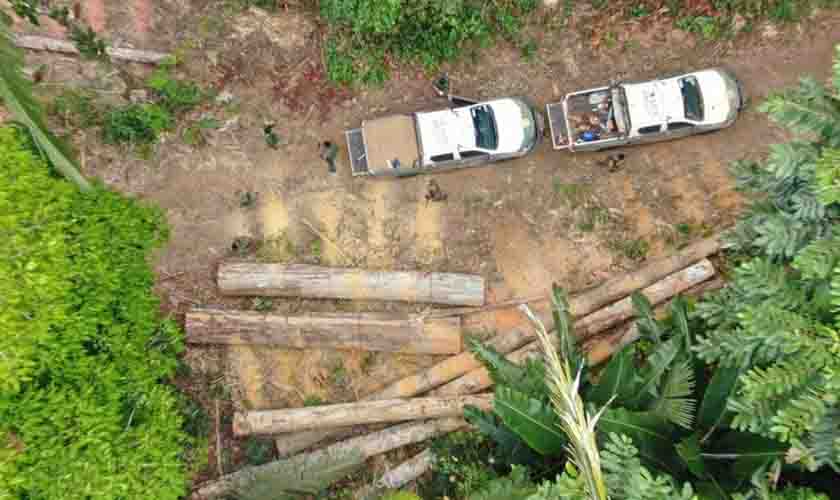 Com participação da Funai, operação apreende 2,1 mil m³ de madeira na Amazônia