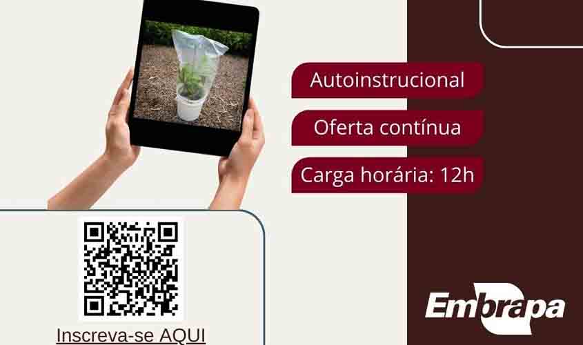 Curso on-line para produção de castanheira-da-amazônia em miniestufa tem inscrições abertas