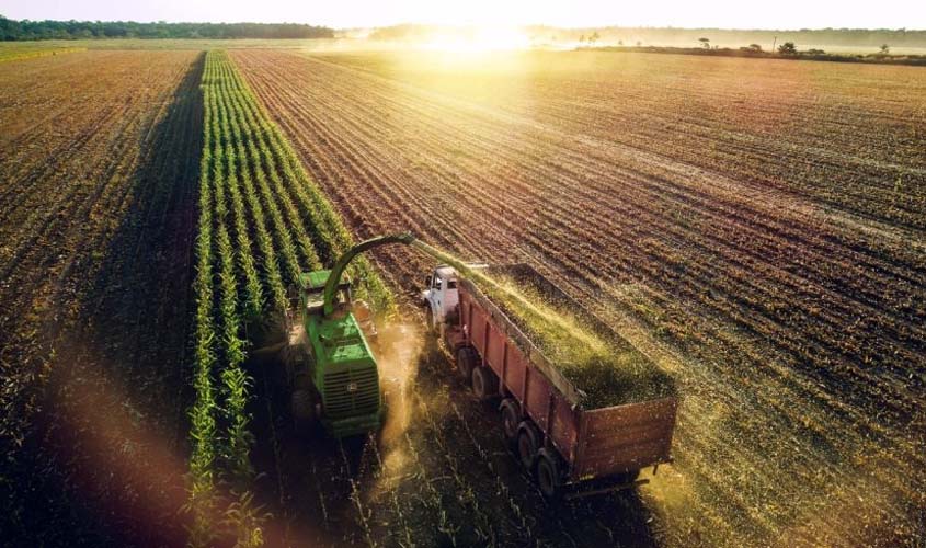 Concursos 'Viva Rondônia' e 'Meu Município, Minha Rondônia' premiam participantes com melhores fotos