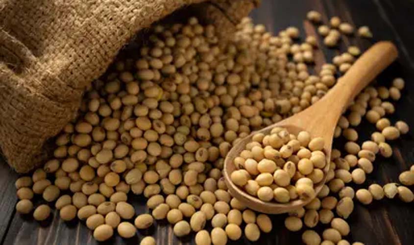 Soja e trigo hoje: cotações desta quinta-feira (18)