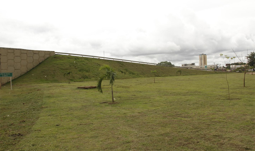 Mutirão do programa Cidade Mais Verde volta a BR-364