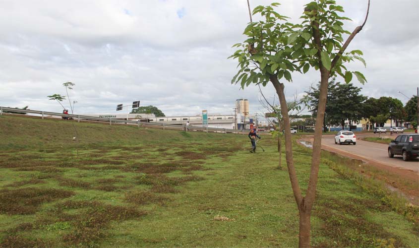 Mutirão do programa Cidade Mais Verde volta a BR-364