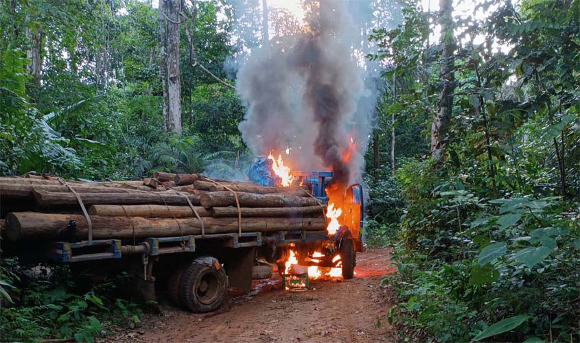 PF RO deflagra operação para combater crimes ambientais em reservas indígenas