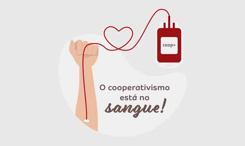 Ação para coleta de sangue acontece neste sábado em Nova Brasilândia 