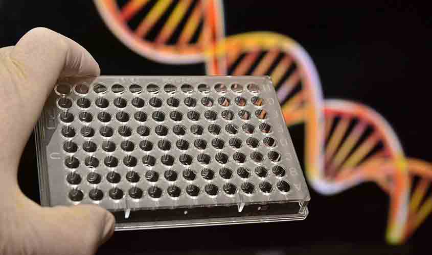 Nova lei autoriza teste de DNA em parentes para confirmar paternidade