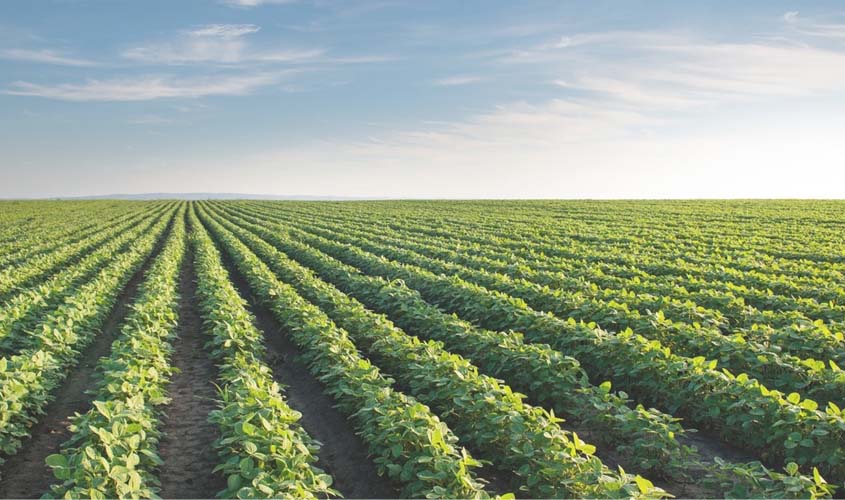 Desenvolvimento do agro está passando por problemas tecnológicos em Rondônia