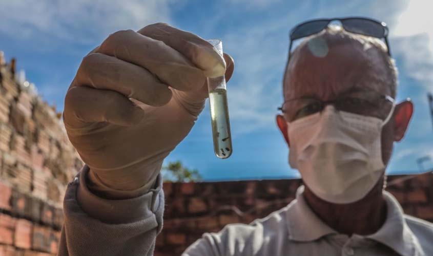 Combate à dengue mantém Porto Velho sem óbitos em 2026