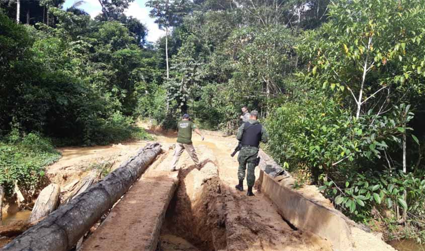 Operação SOS Karipuna investiga organizações criminosas que atuavam em terra indígena em Rondônia