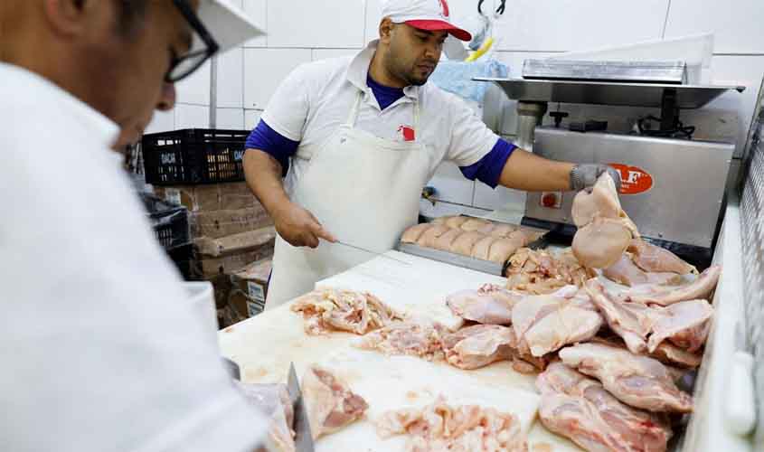 Brasil se declara país livre da gripe aviária