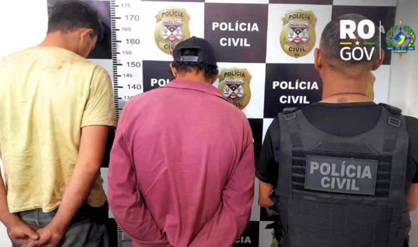 Operação combate corte ilegal de castanheira