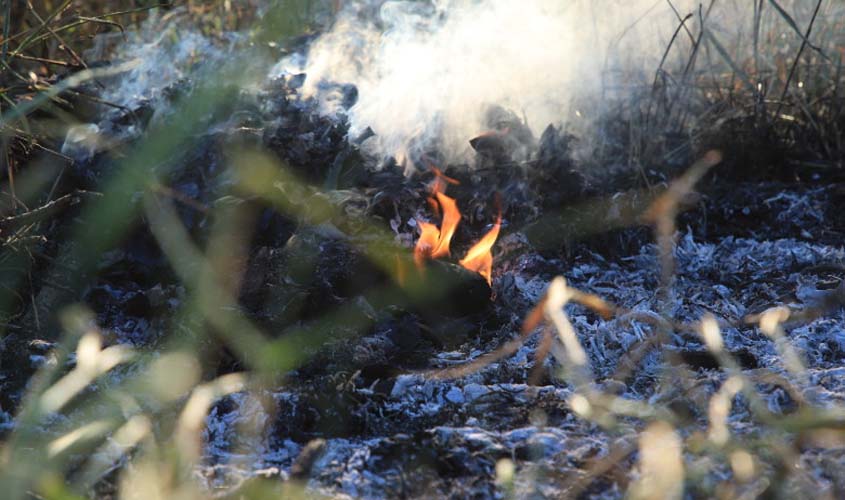 Prefeitura intensifica fiscalizações para combater queimadas